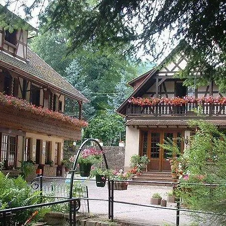 Hotel-restaurant Du Chateau D'andlau Hotel