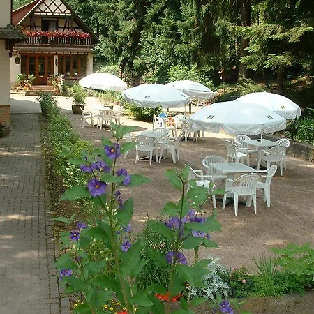 Hotel-restaurant Du Chateau D'andlau 2* Barr